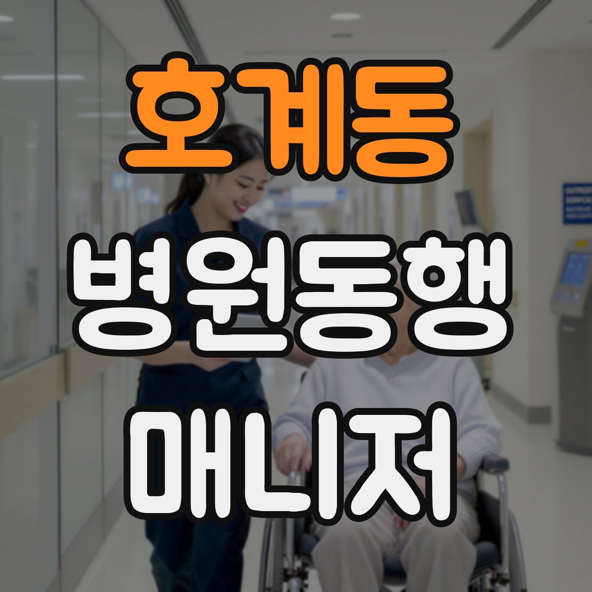호계동 병원동행매니저 자격증