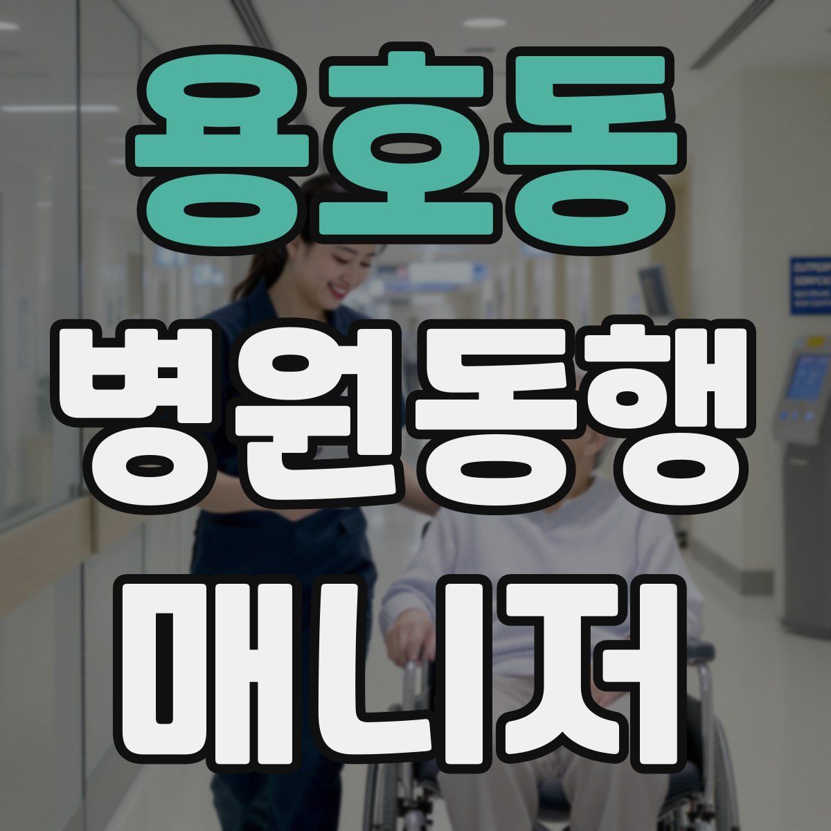 용호동 병원동행매니저 자격증