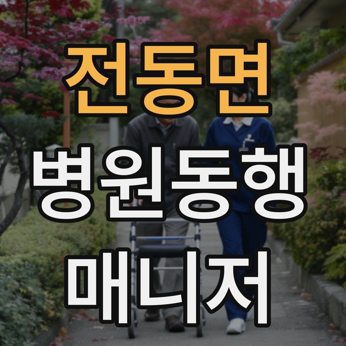 전동면 병원동행매니저 자격증 검사 동행과 진료 동행 차이