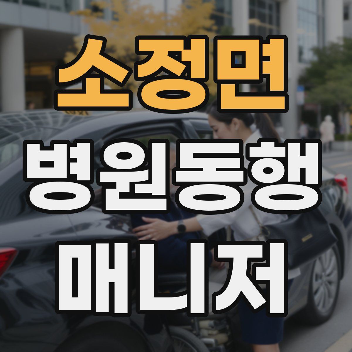 소정면 병원동행매니저 자격증