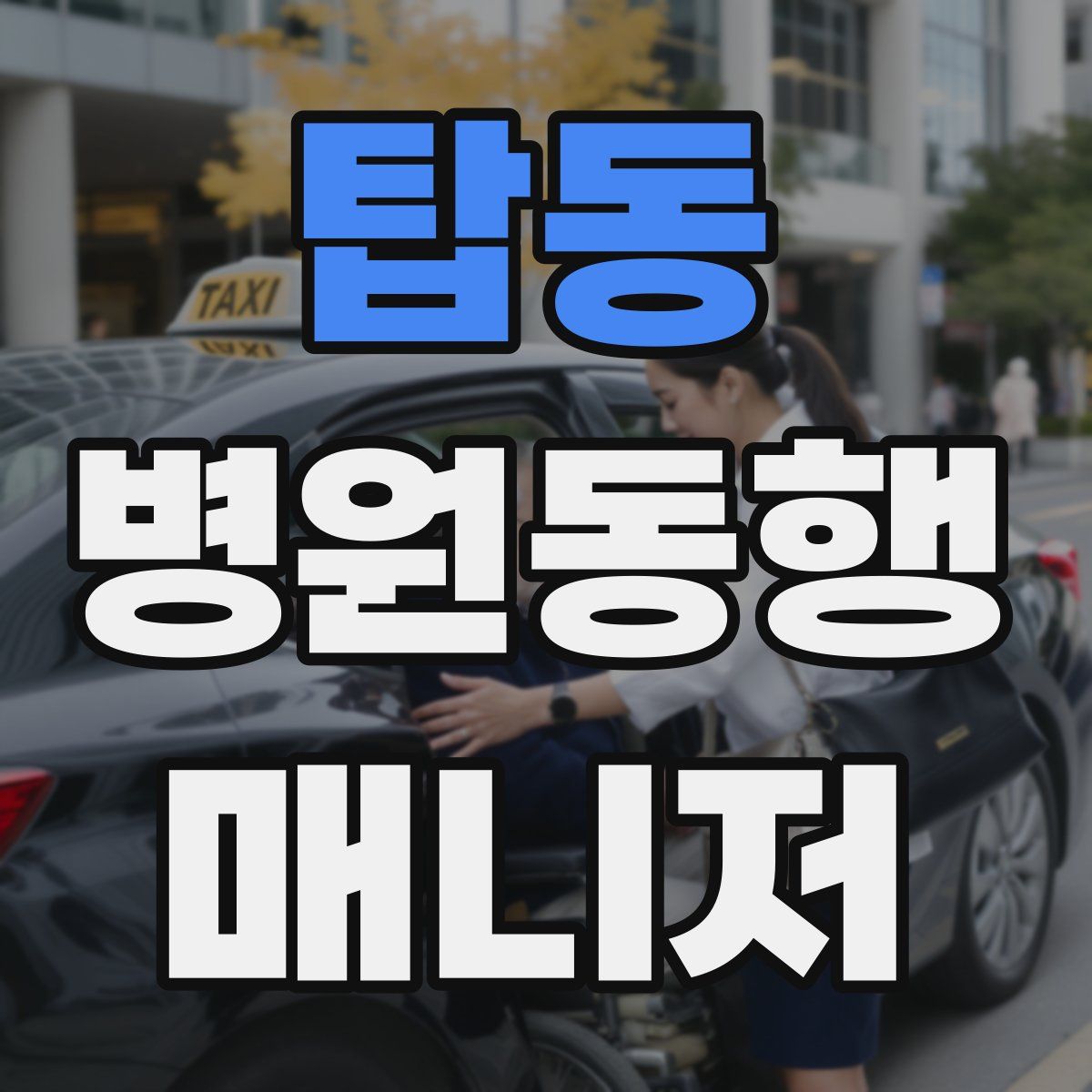 탑동 병원동행매니저 자격증