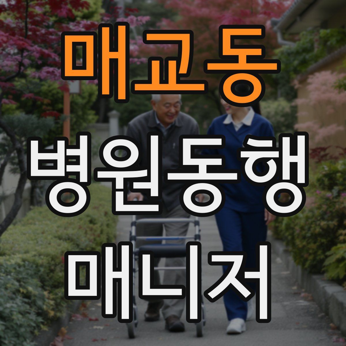 매교동 병원동행매니저 자격증