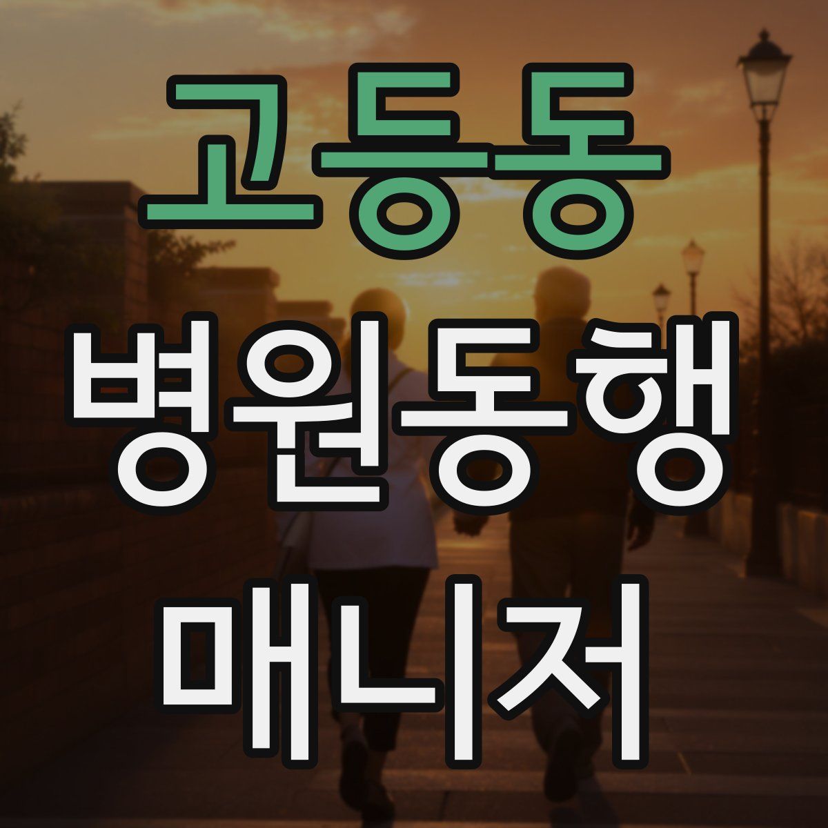 고등동 병원동행매니저 자격증