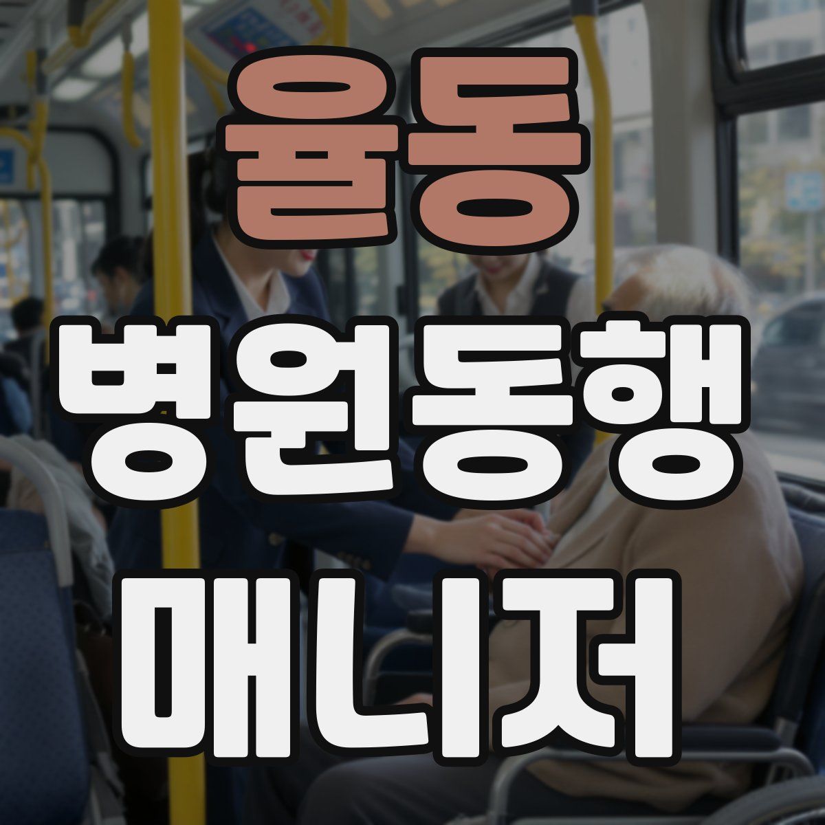 율동 병원동행매니저 자격증