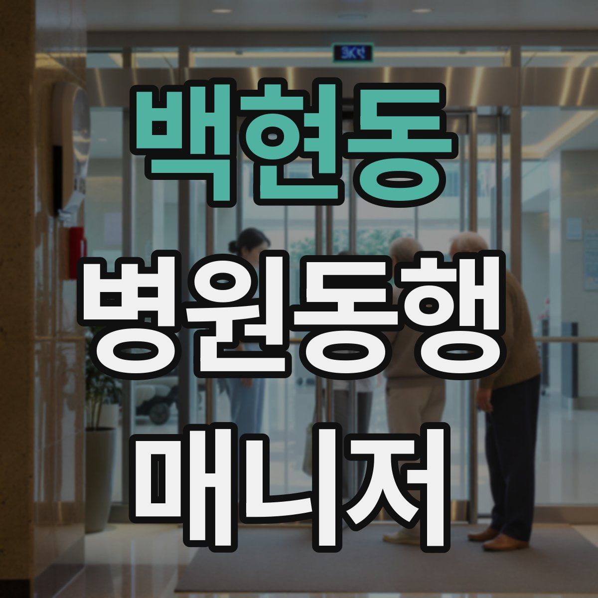 백현동 병원동행매니저 자격증