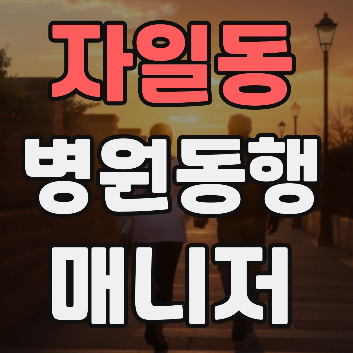 자일동 병원동행매니저 자격증