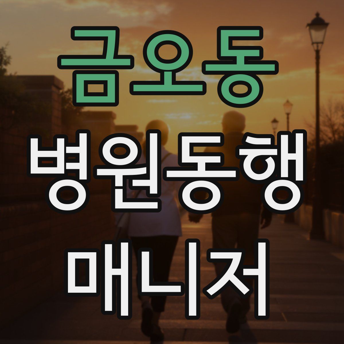 금오동 병원동행매니저 자격증