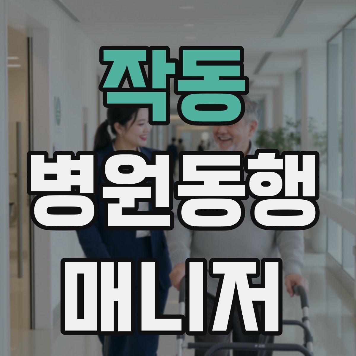 작동 병원동행매니저 자격증