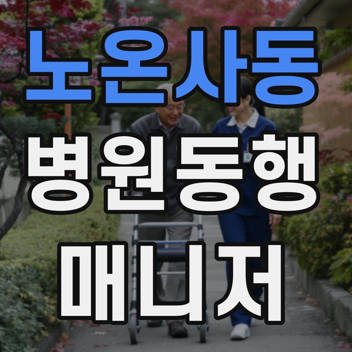 노온사동 병원동행매니저 자격증