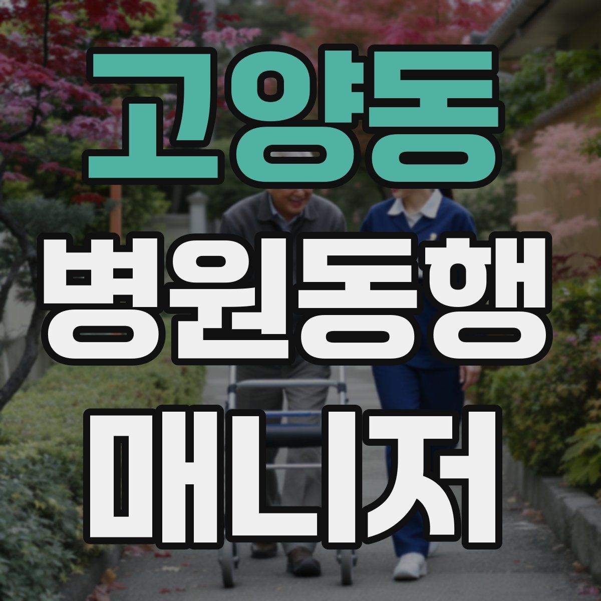 고양동 병원동행매니저 자격증