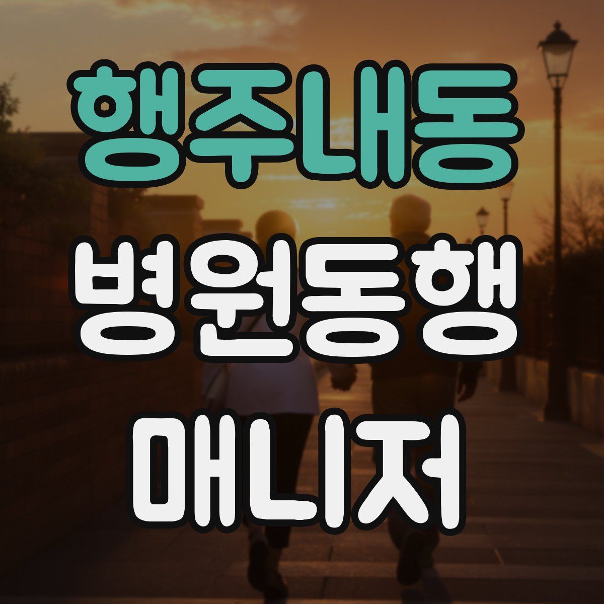 행주내동 병원동행매니저 자격증