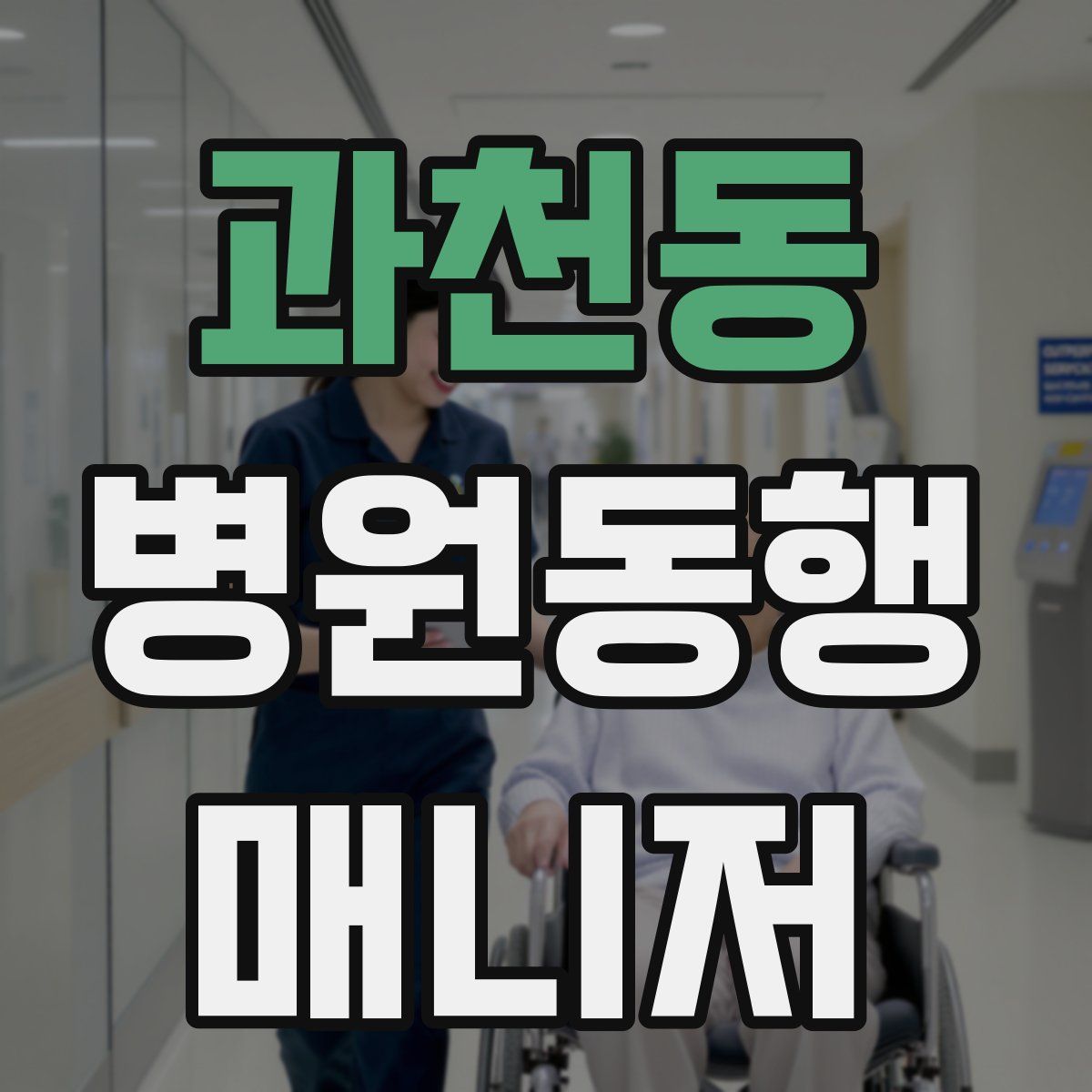 과천동 병원동행매니저 자격증