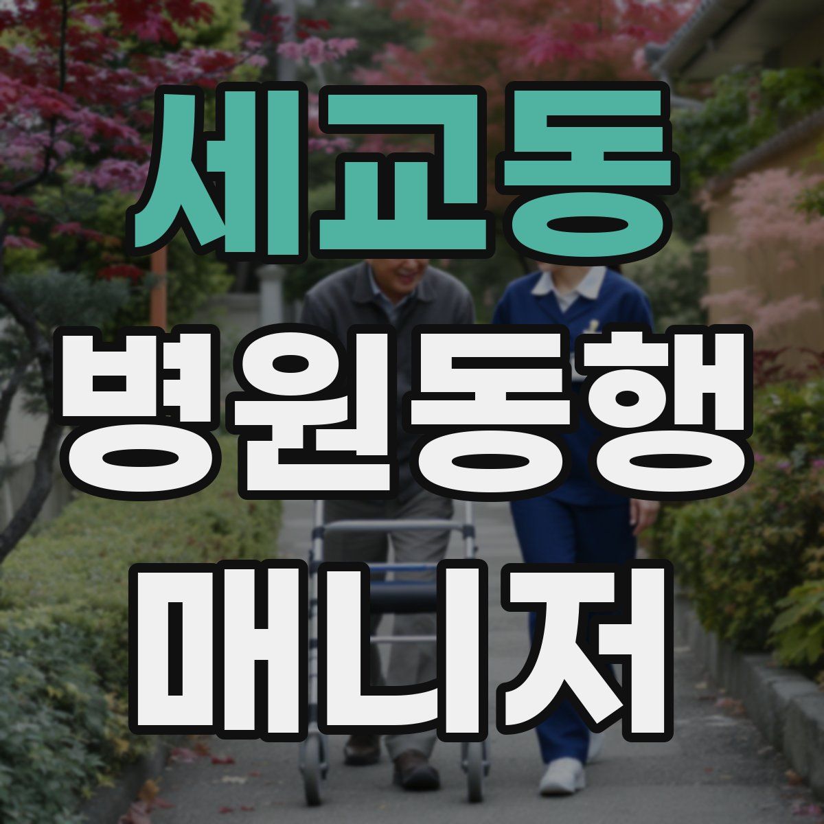 세교동 병원동행매니저 자격증