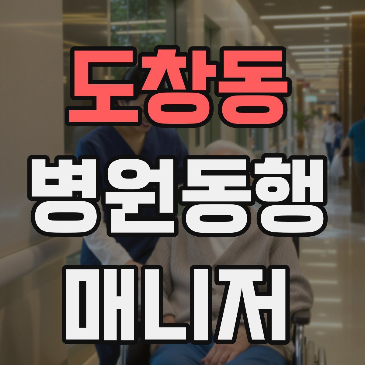 도창동 병원동행매니저 자격증