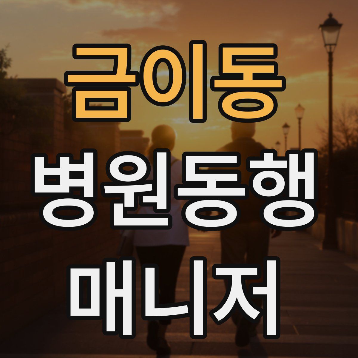 금이동 병원동행매니저 자격증