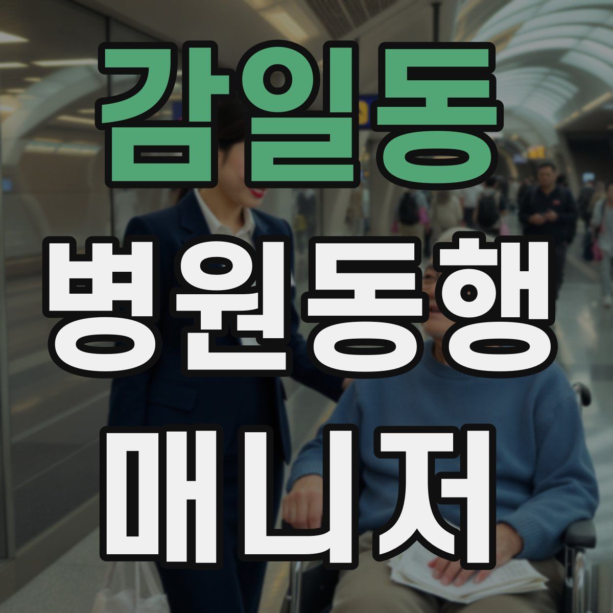 감일동 병원동행매니저 자격증