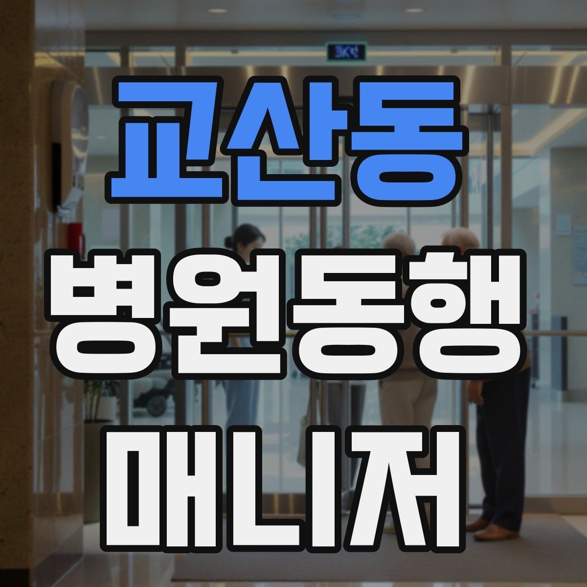교산동 병원동행매니저 자격증 자주 나오는 개념을 빠르게 정리