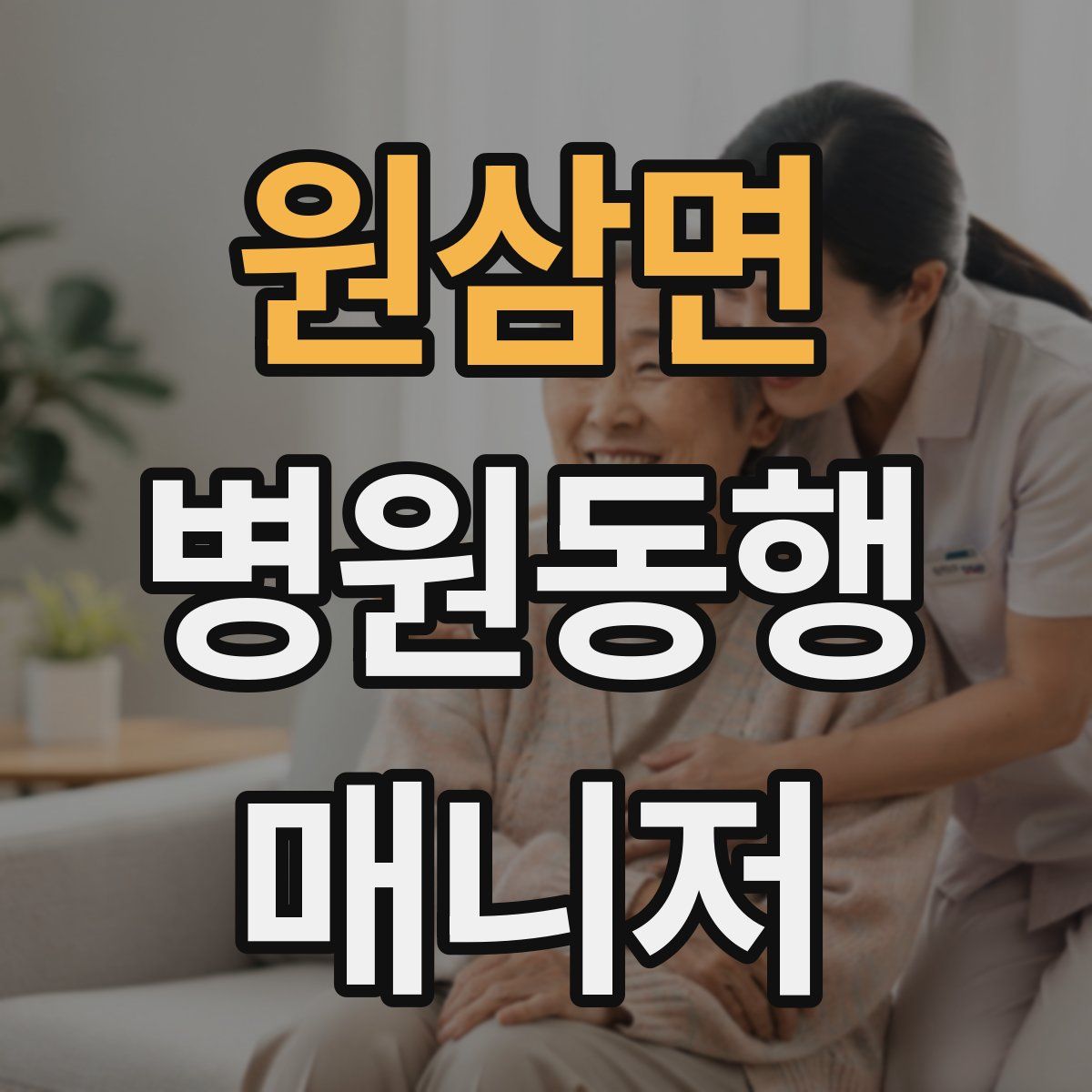 원삼면 병원동행매니저 자격증