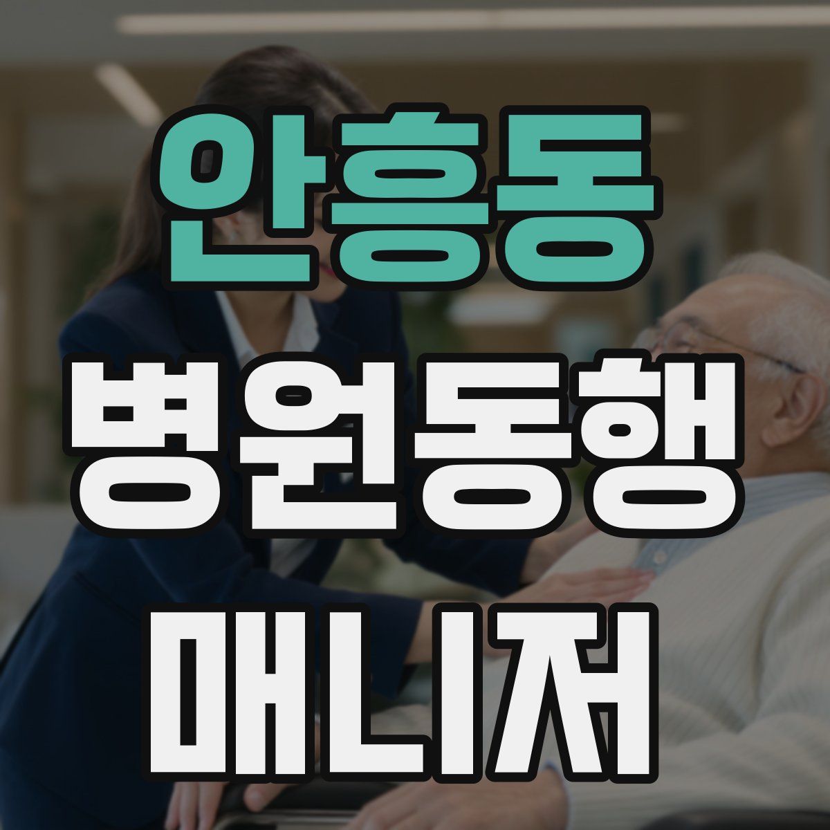 안흥동 병원동행매니저 자격증