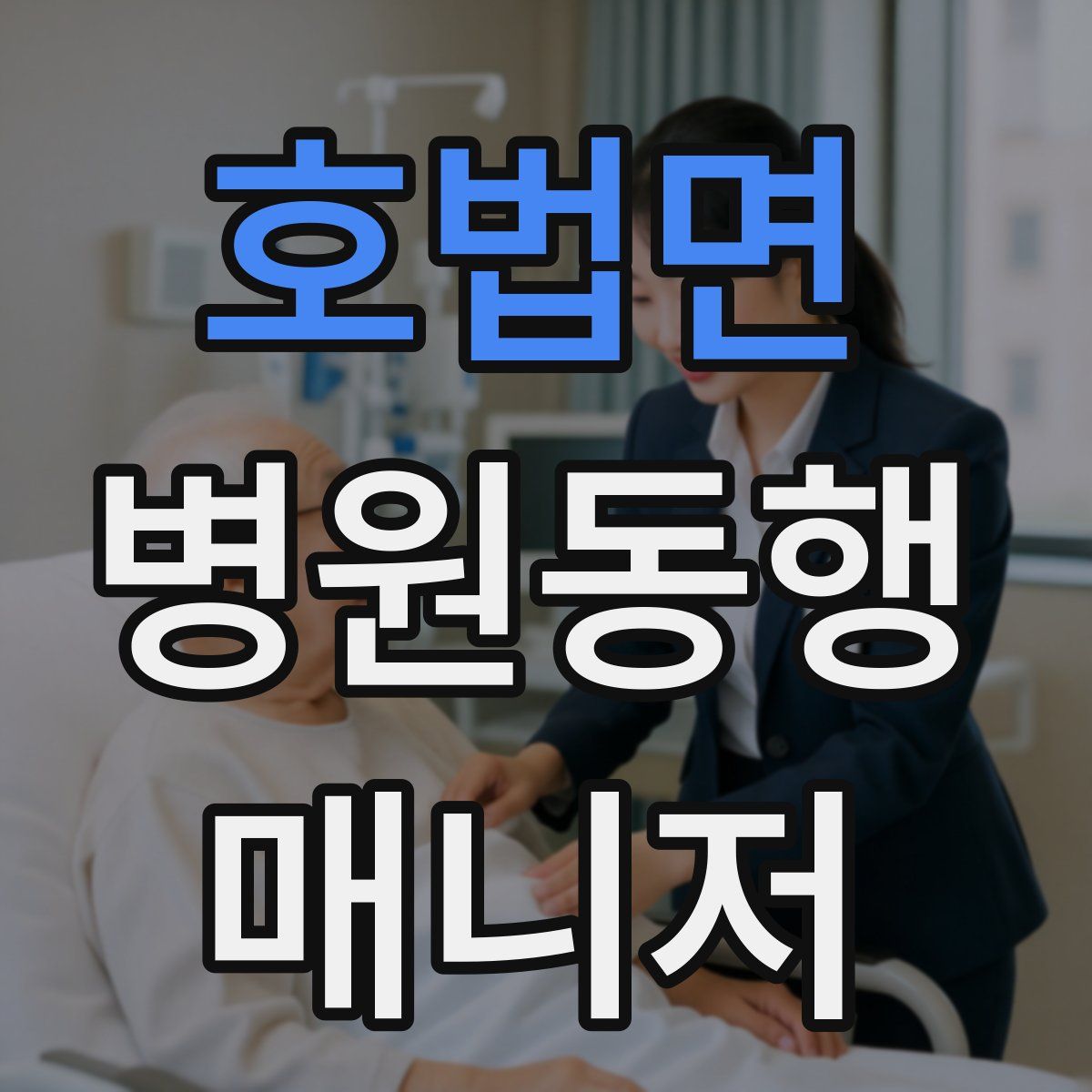 호법면 병원동행매니저 자격증