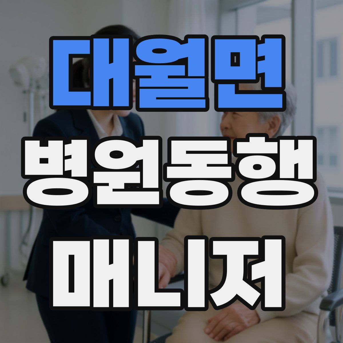 대월면 병원동행매니저 자격증