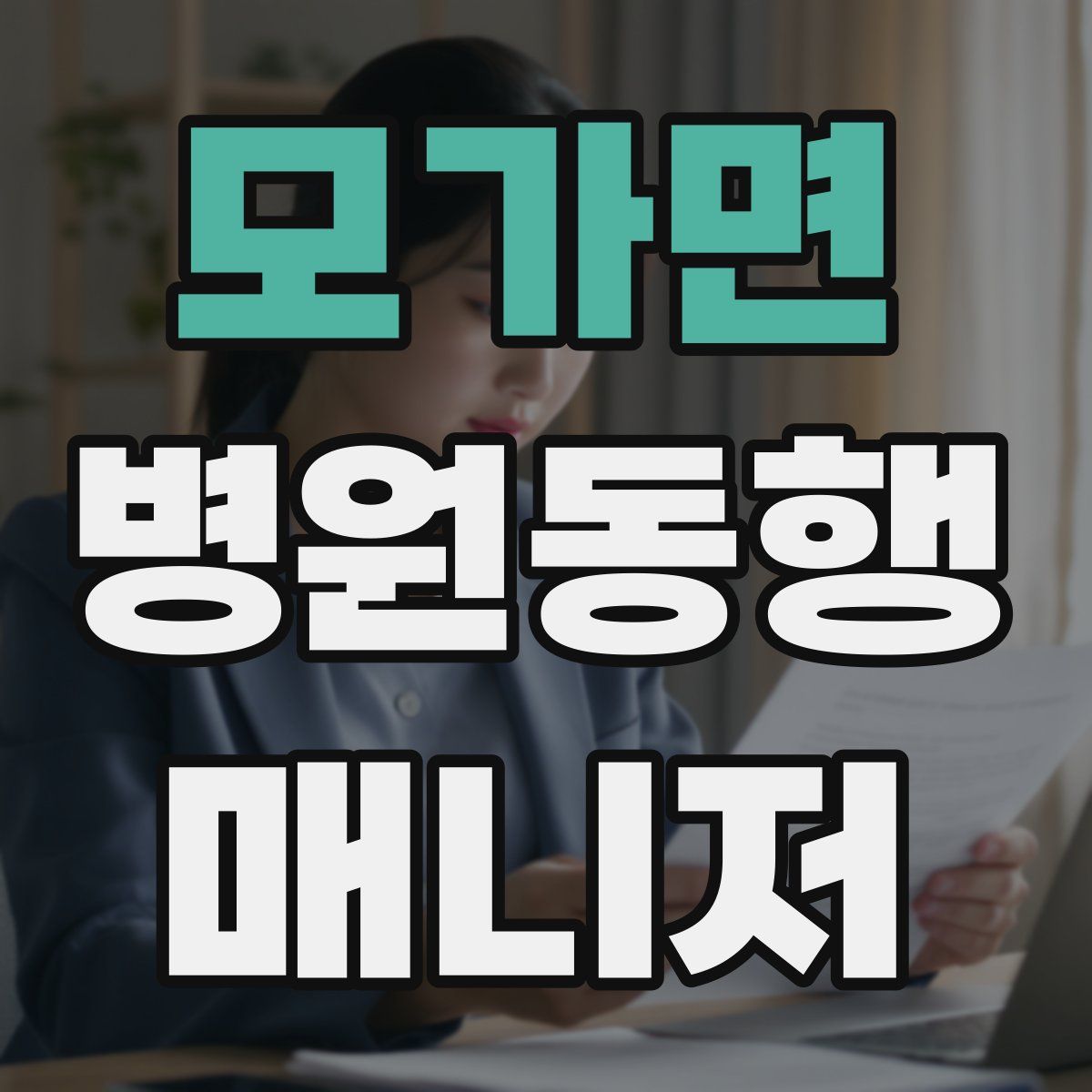 모가면 병원동행매니저 자격증