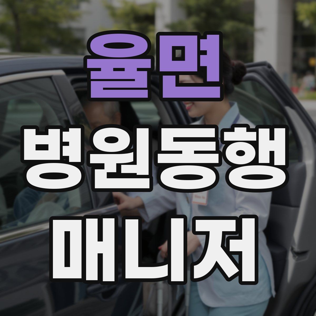 율면 병원동행매니저 자격증 대중교통 동행 시 준비할 것