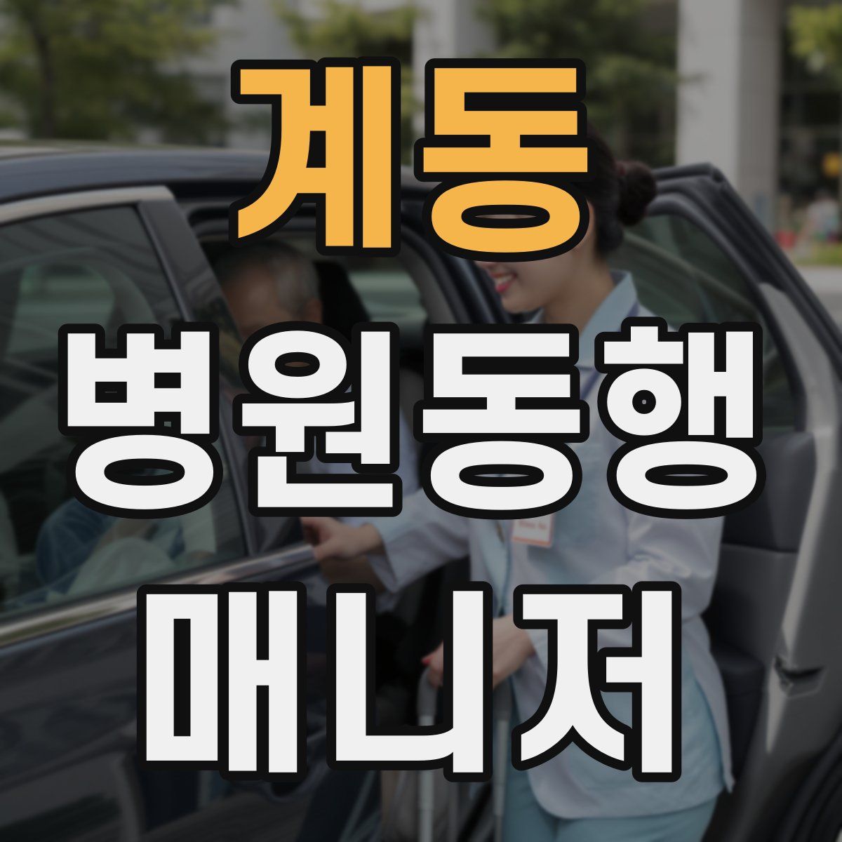 계동 병원동행매니저 자격증