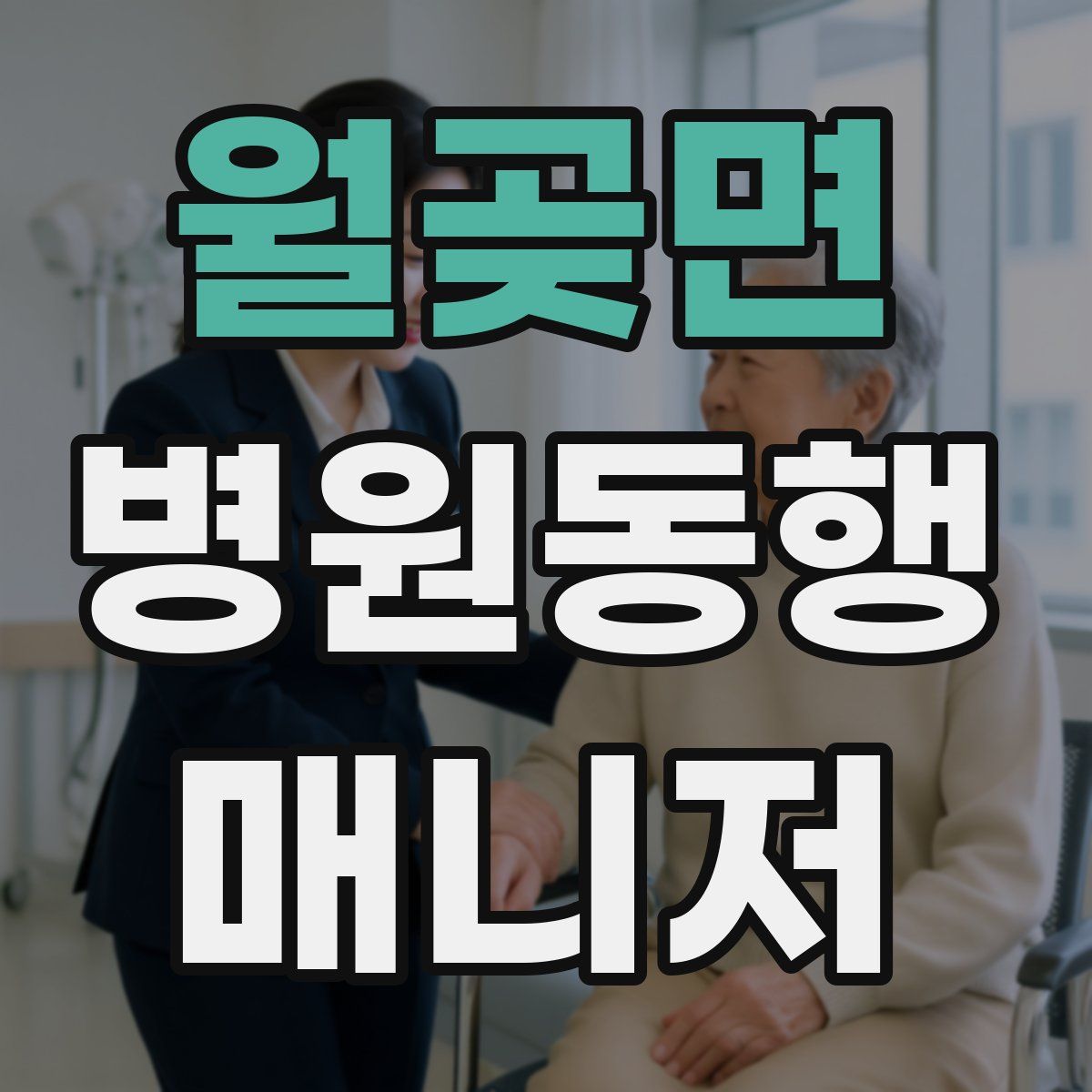 월곶면 병원동행매니저 자격증