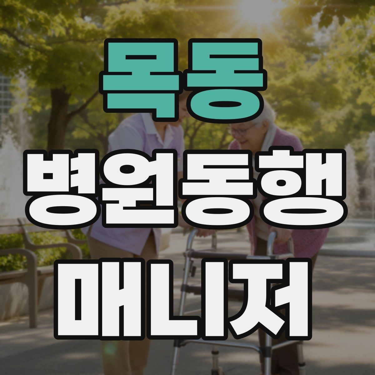 목동 병원동행매니저 자격증 일정 확정 전 확인 질문 리스트