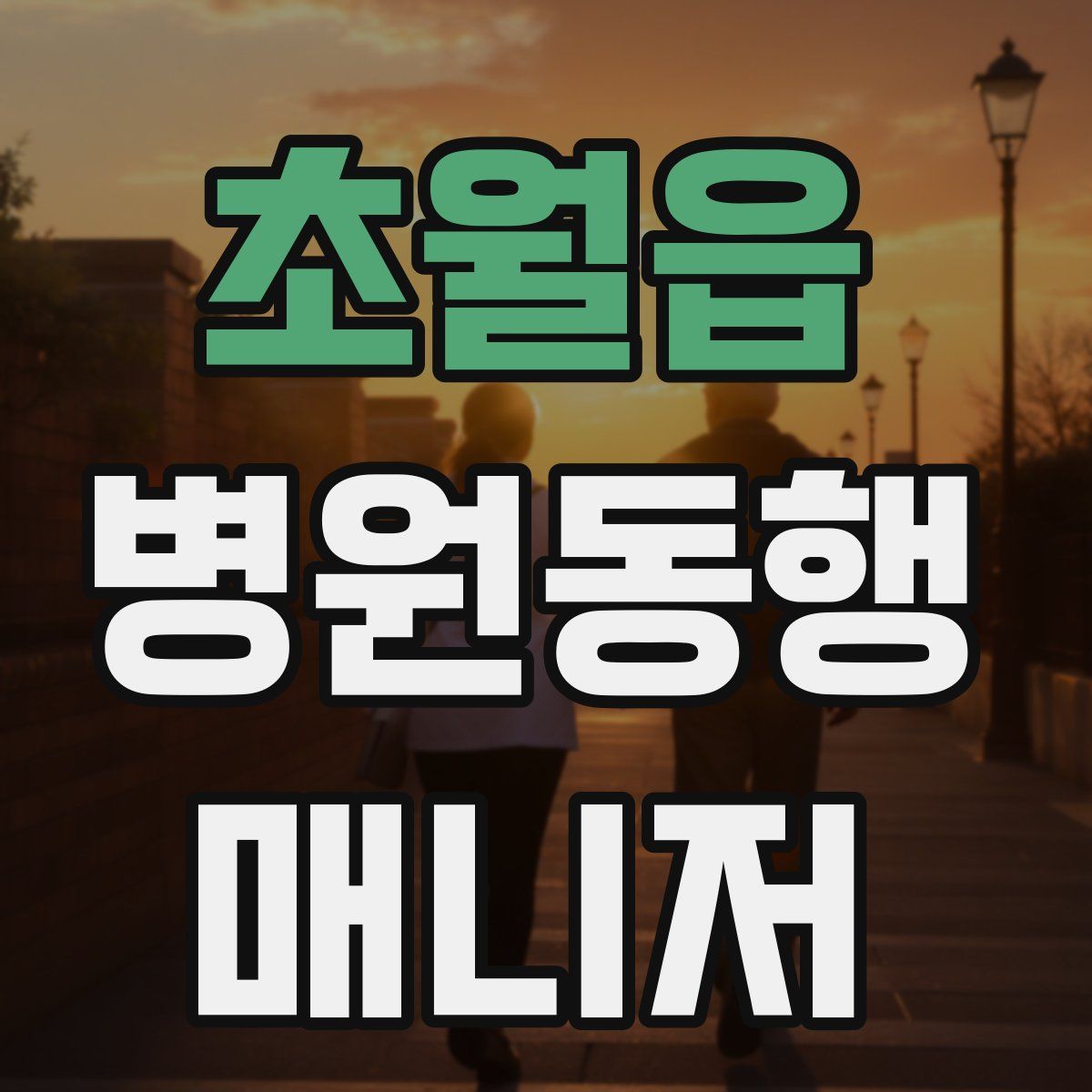 초월읍 병원동행매니저 자격증