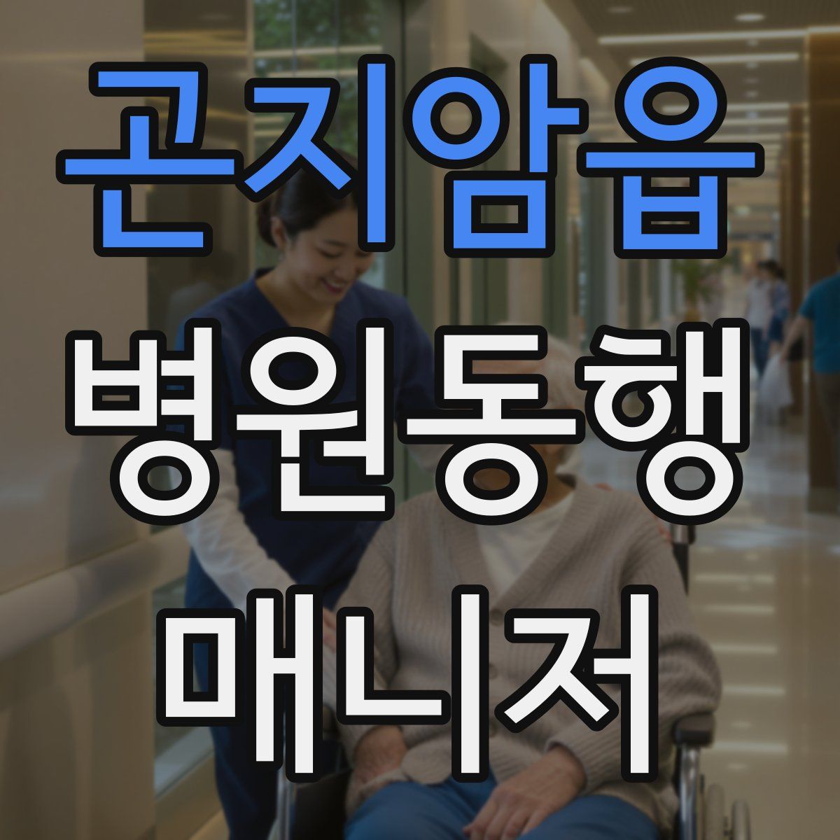 곤지암읍 병원동행매니저 자격증