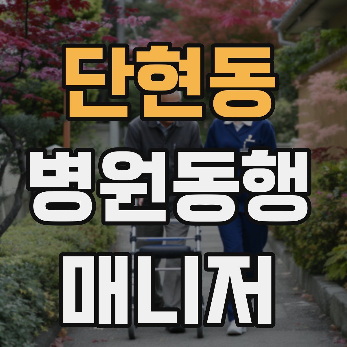 단현동 병원동행매니저 자격증