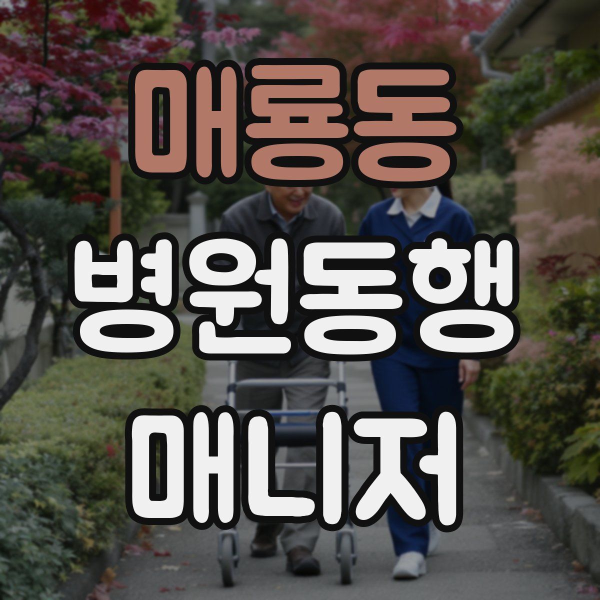 매룡동 병원동행매니저 자격증