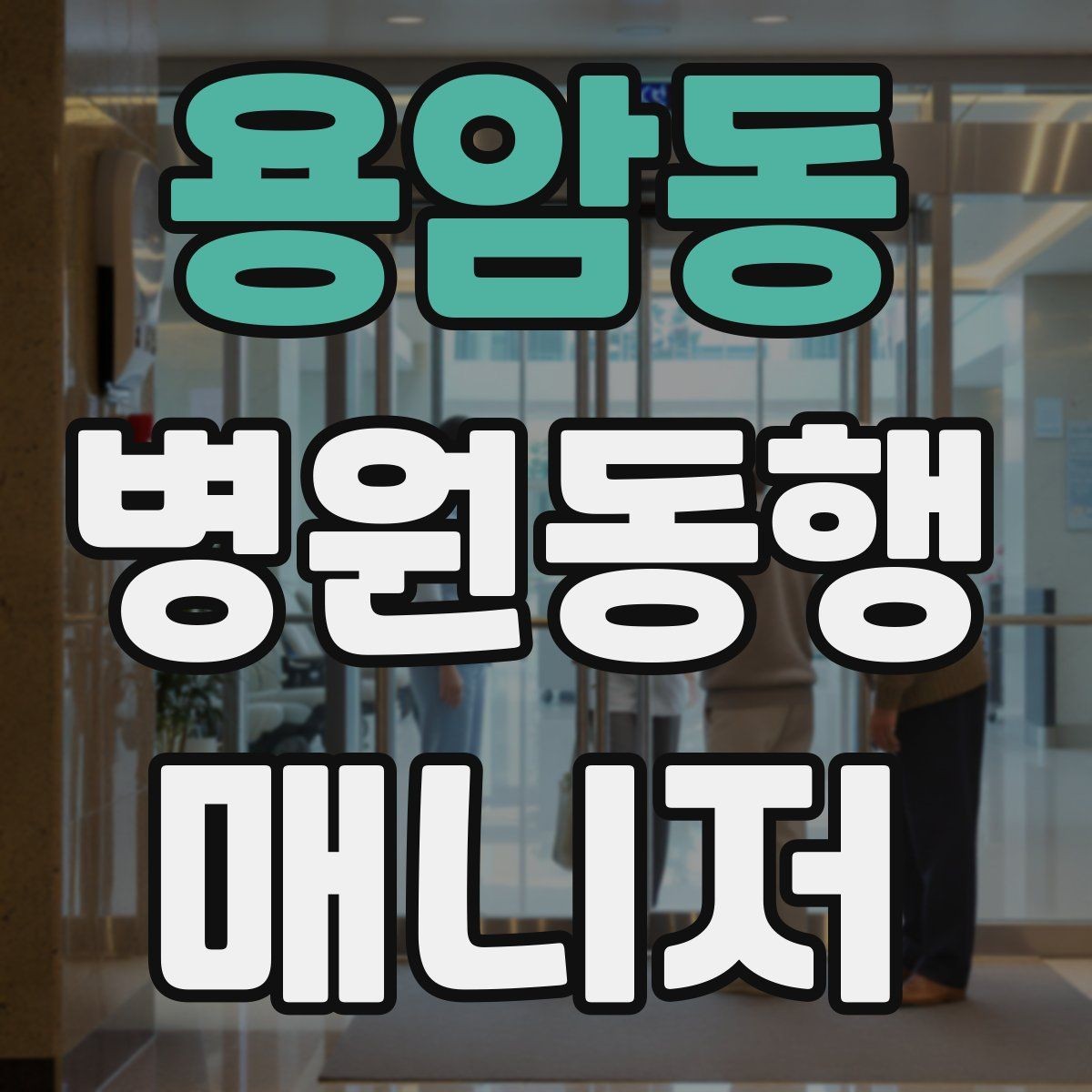 용암동 병원동행매니저 자격증 진료과 이동이 많을 때 시간 관리