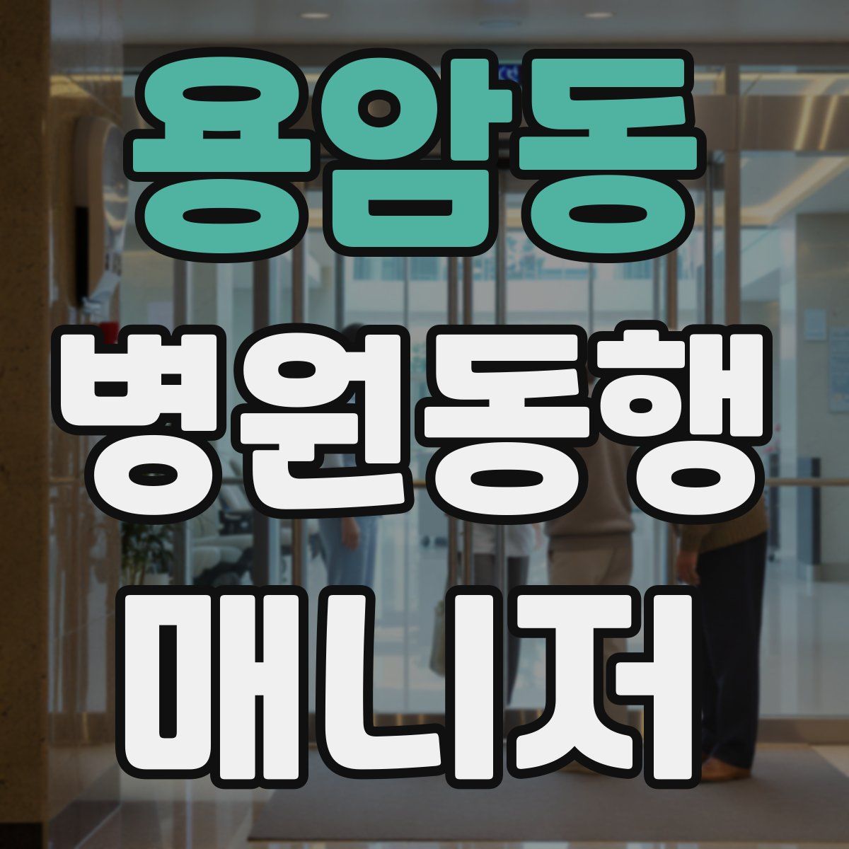 용암동 병원동행매니저 자격증