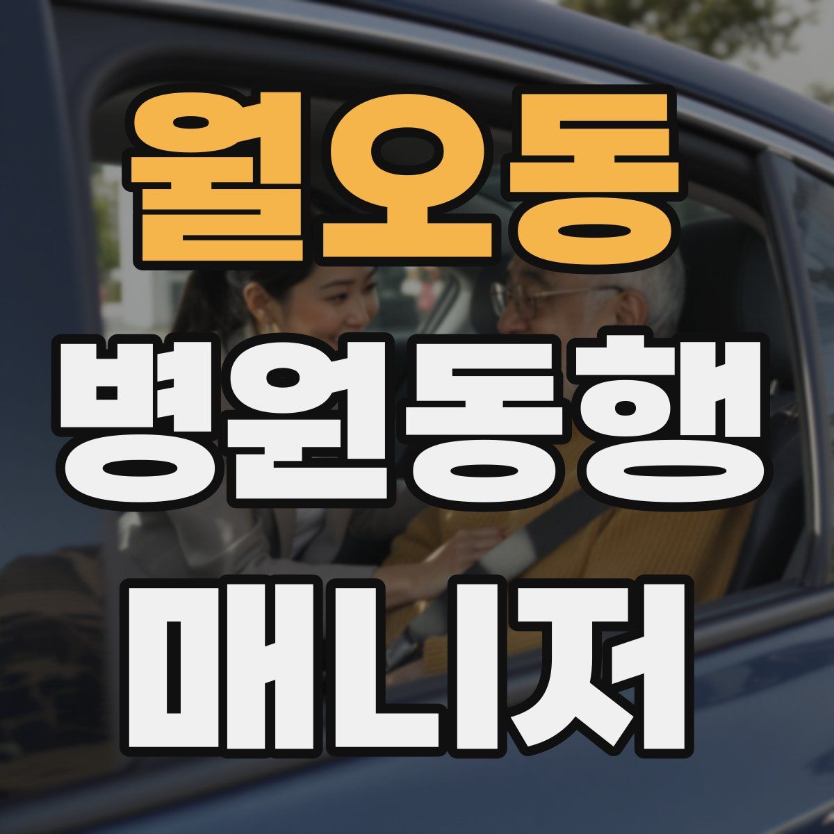 월오동 병원동행매니저 자격증