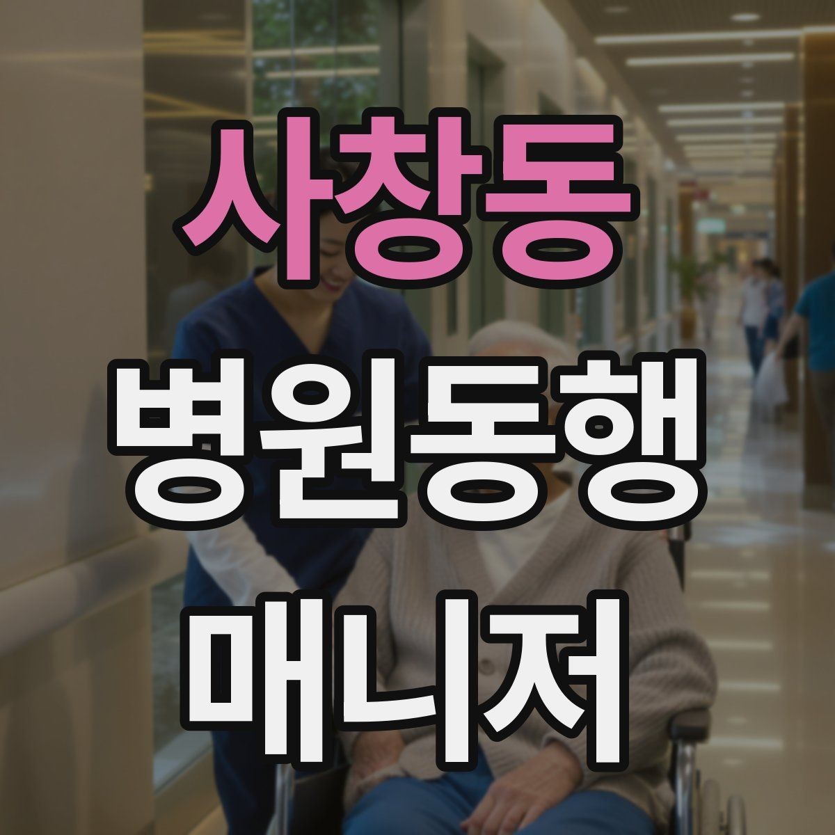 사창동 병원동행매니저 자격증 동행 범위 문구를 깔끔하게 정리하기