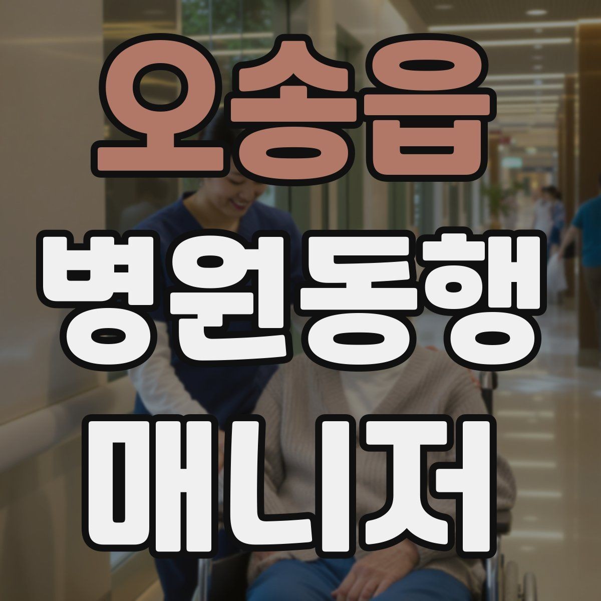 오송읍 병원동행매니저 자격증 낙상 위험 줄이는 동행 자세