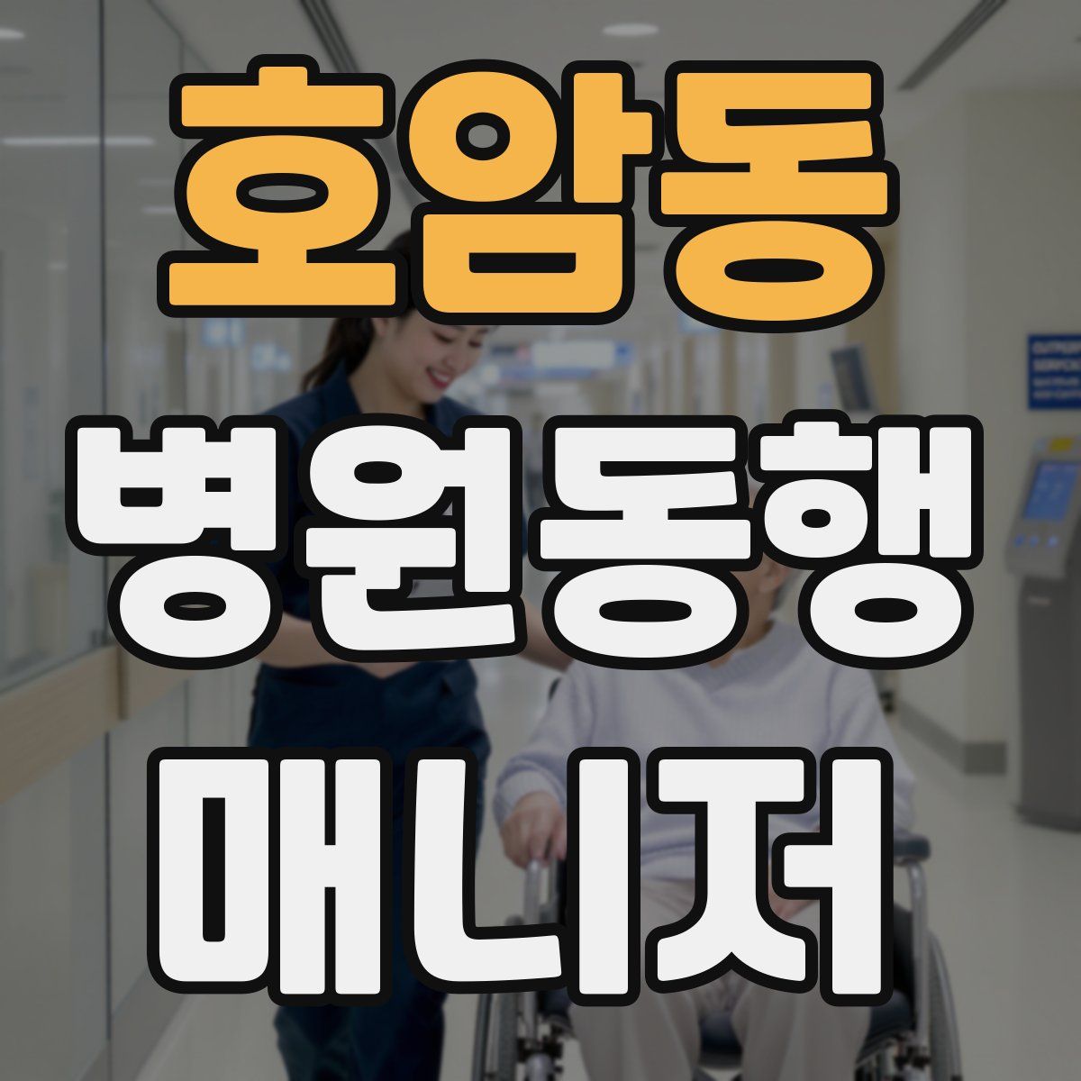 호암동 병원동행매니저 자격증