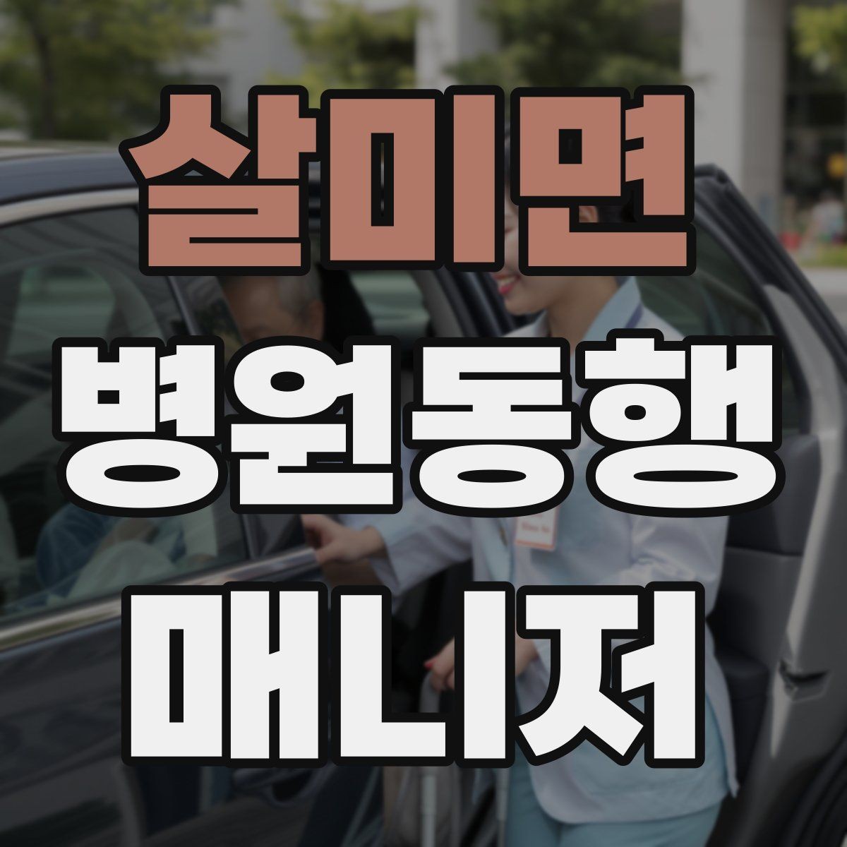 살미면 병원동행매니저 자격증 나에게 맞는 활동 방식 찾는 방법
