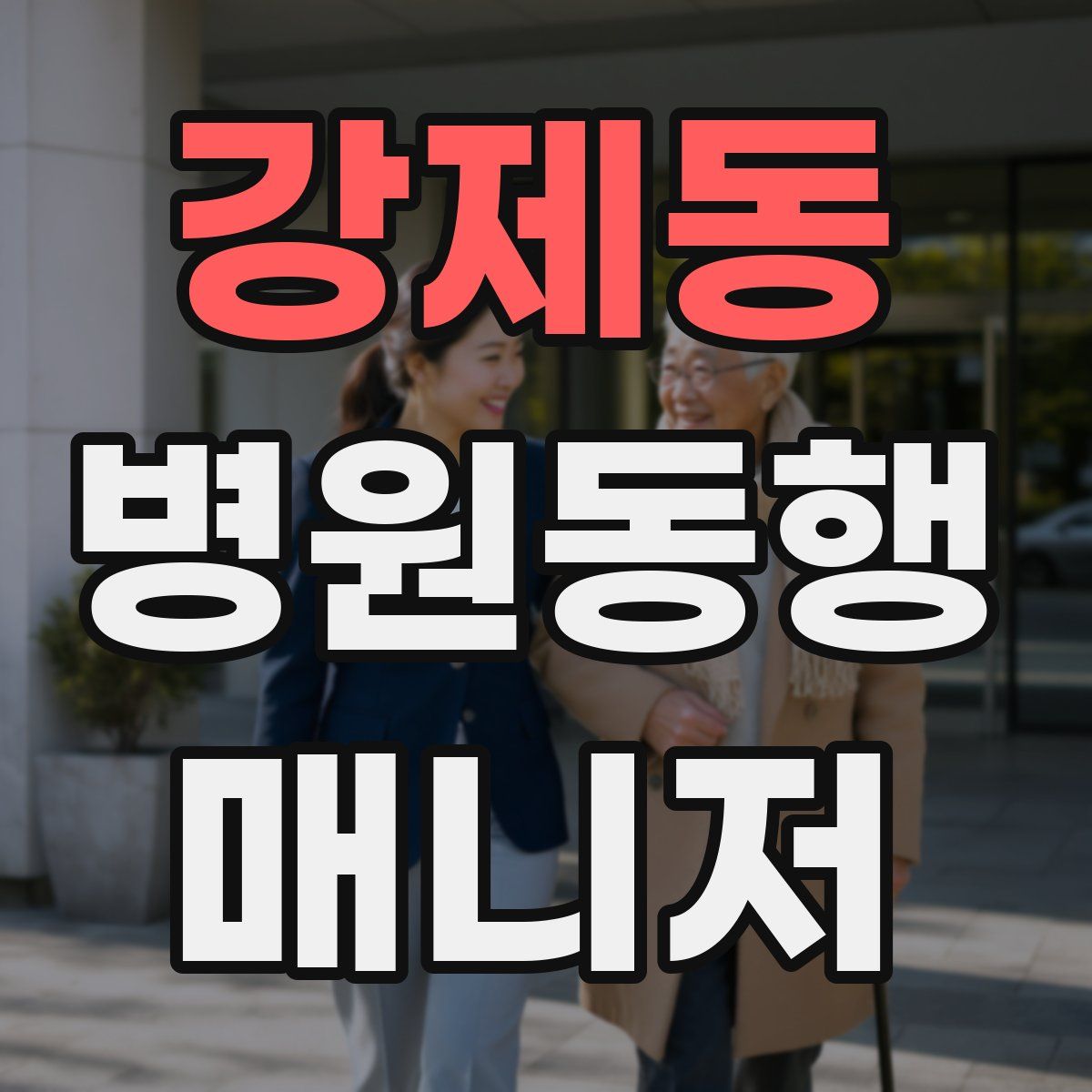 강제동 병원동행매니저 자격증