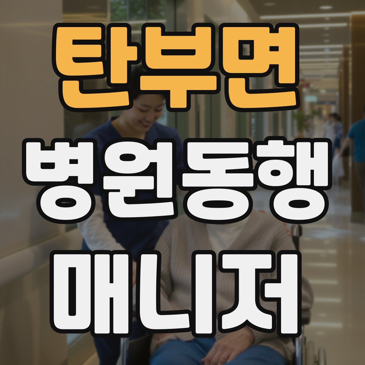 탄부면 병원동행매니저 자격증