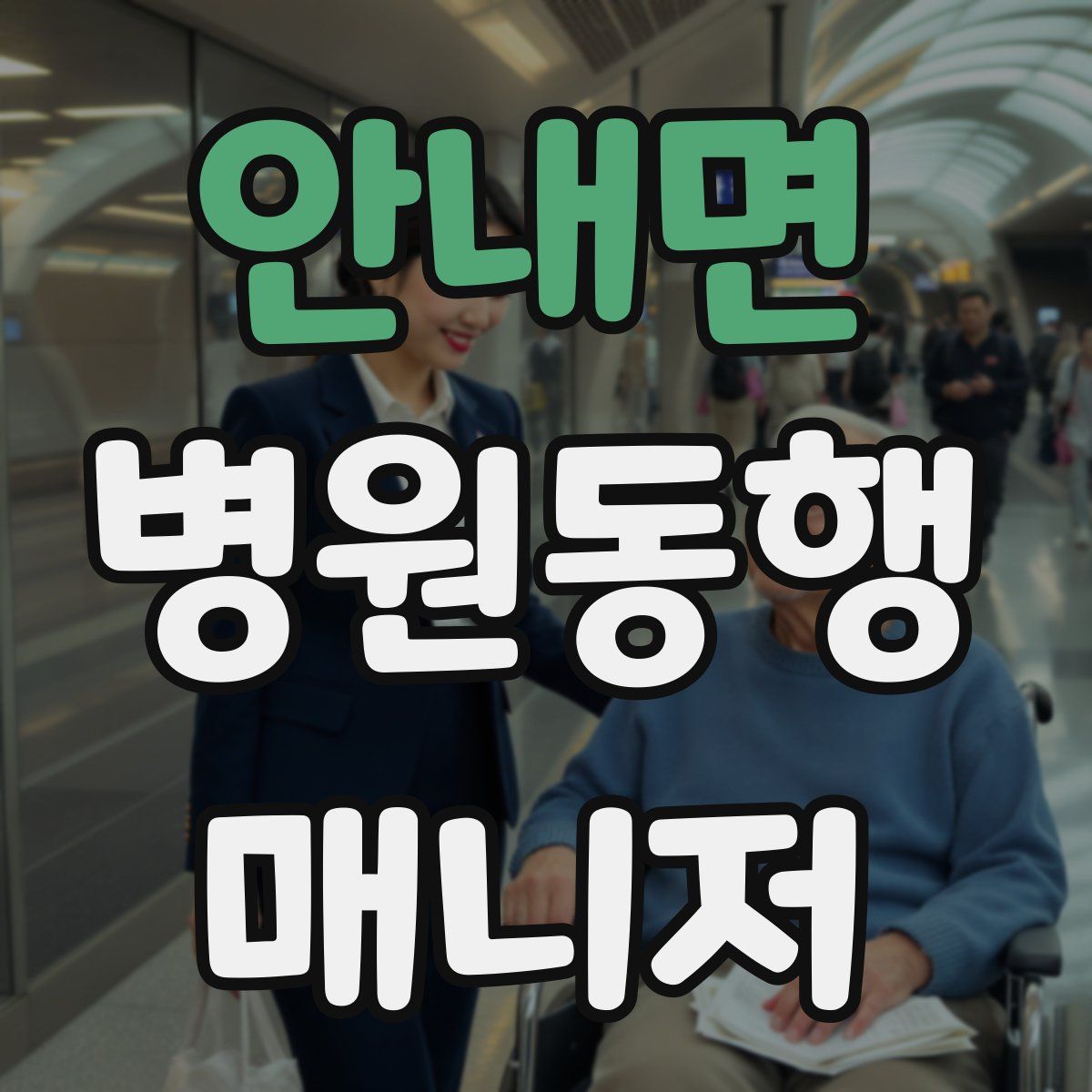 안내면 병원동행매니저 자격증