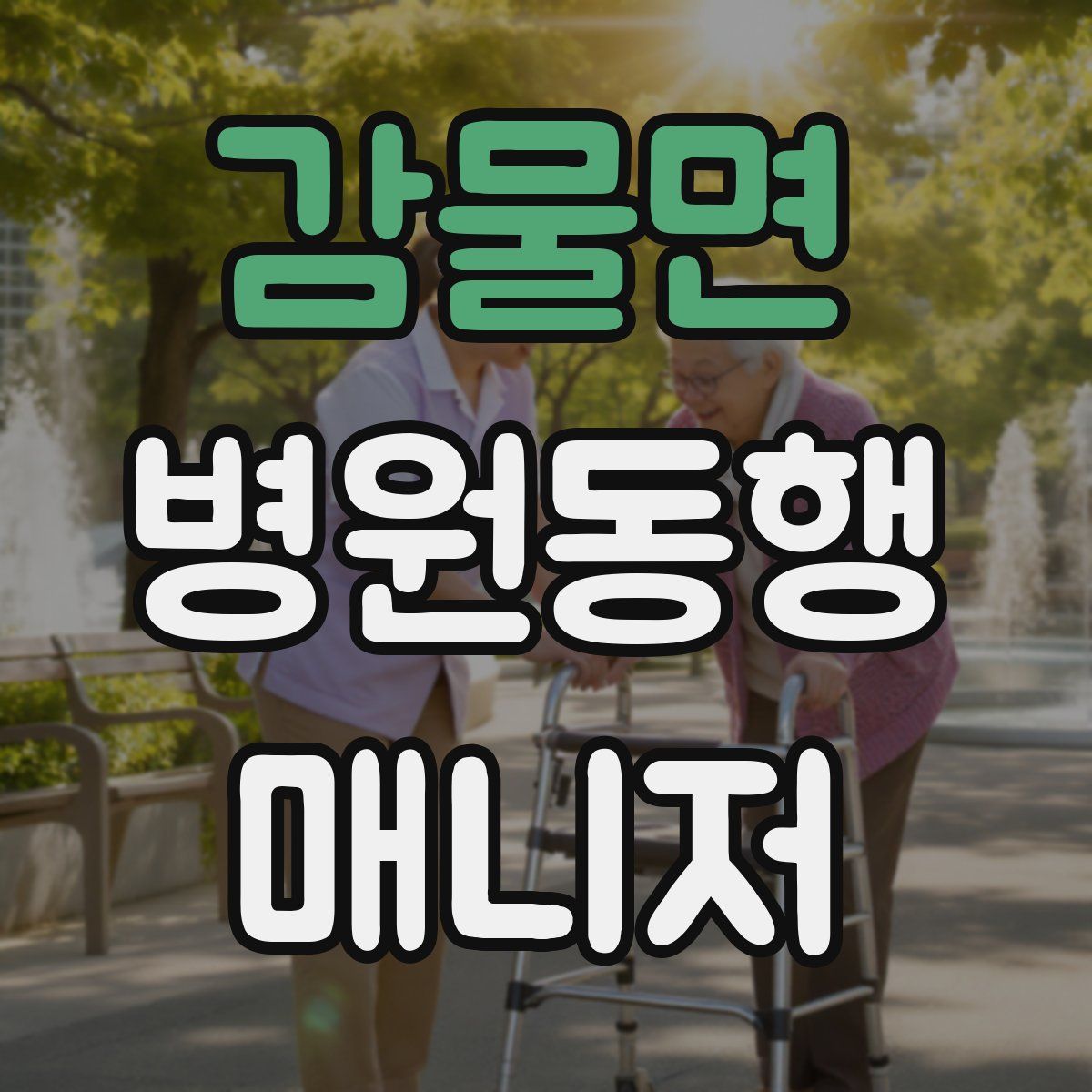 감물면 병원동행매니저 자격증