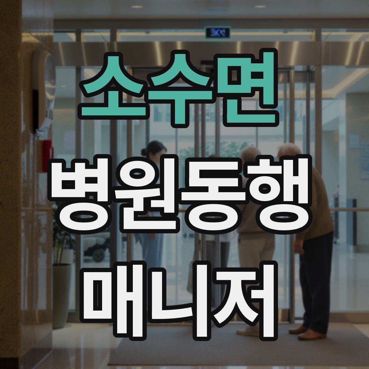 소수면 병원동행매니저 자격증