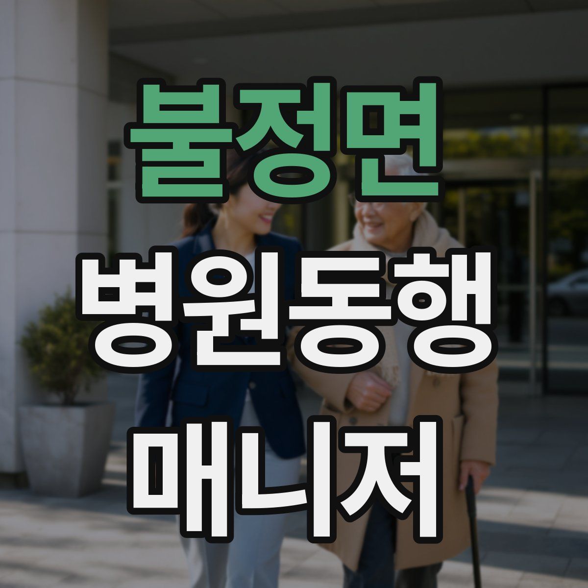 불정면 병원동행매니저 자격증