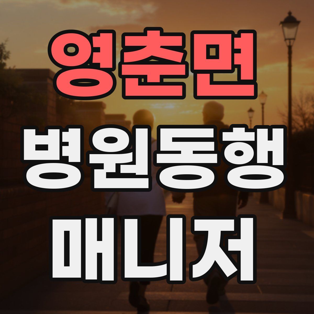 영춘면 병원동행매니저 자격증