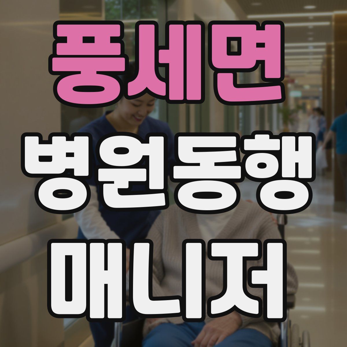 풍세면 병원동행매니저 자격증