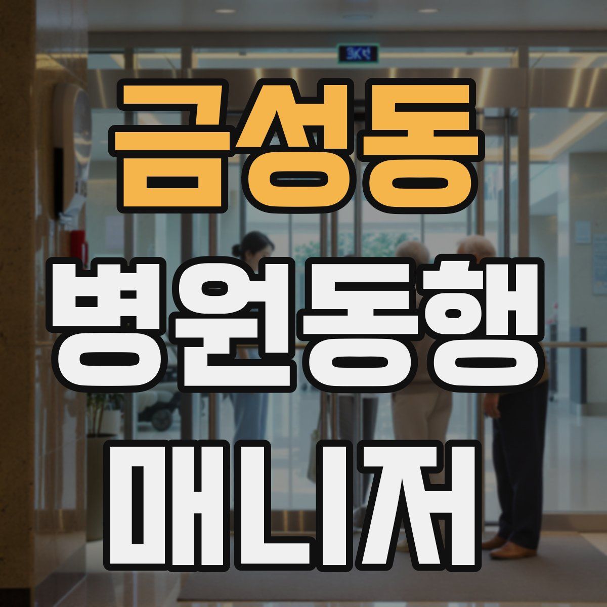 금성동 병원동행매니저 자격증